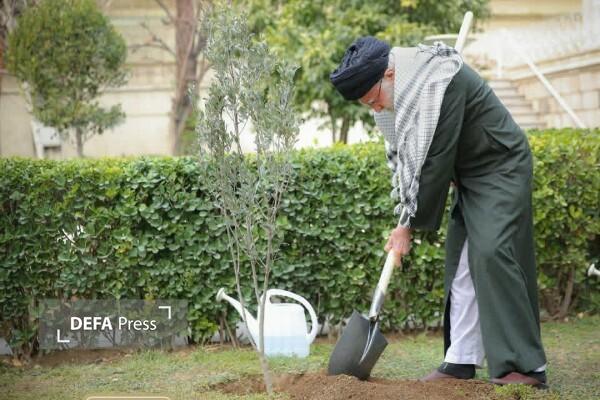 شجره طیبه در برابر تبر دشمن؛ چرا کاشت هر نهال، سیلی بر صورت استکبار است؟