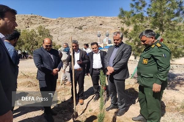 برگزاری پویش سرو ایران در باغ شهرتاریخی مهریز+ تصاویر