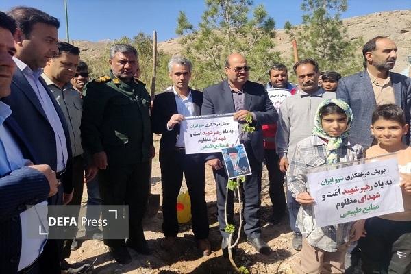 برگزاری پویش سرو ایران در باغ شهرتاریخی مهریز+ تصاویر