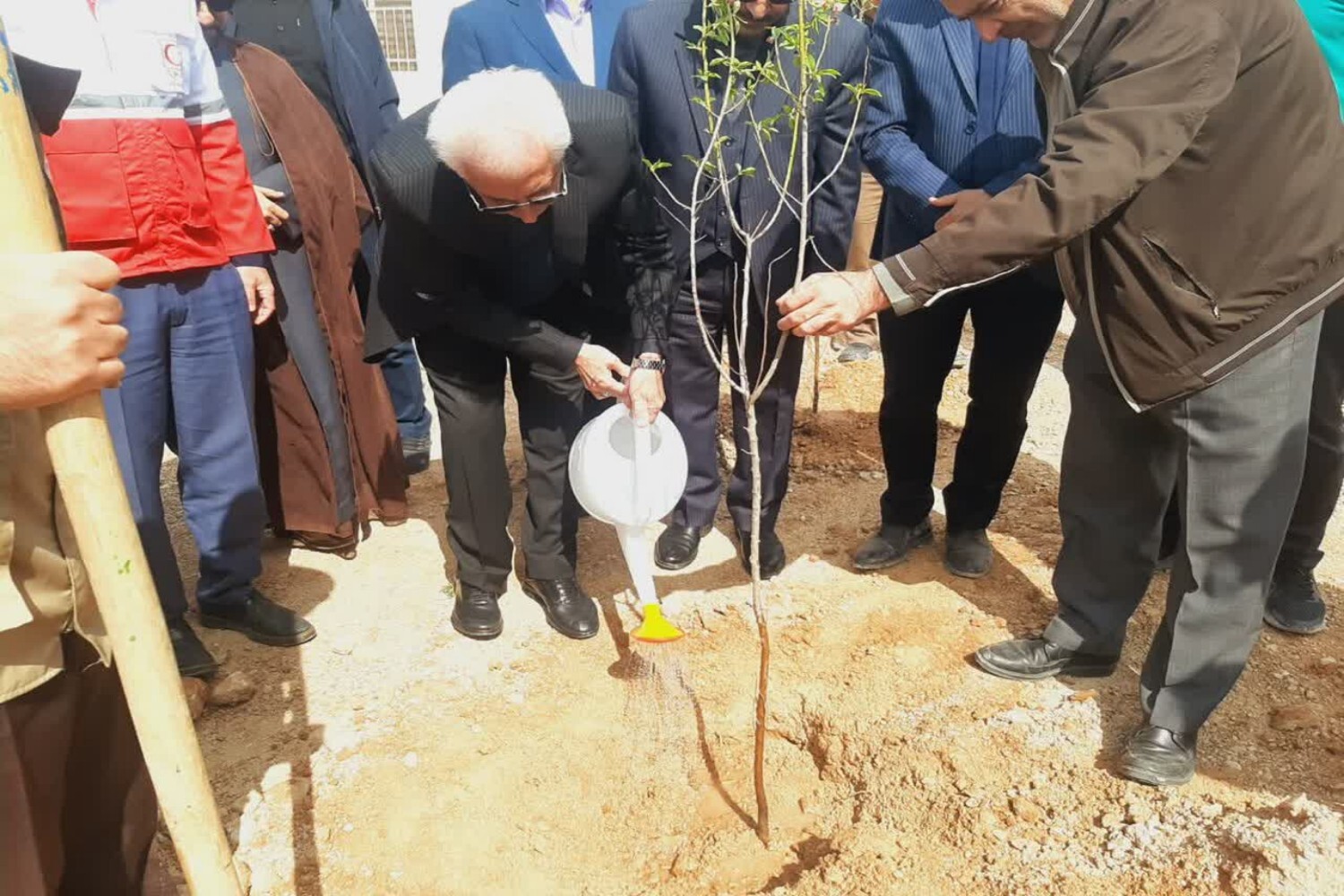 تصاویر/ برگزاری پویش مردمی «سرو ایران» به یاد رهبر شهید و شهدای انقلاب اسلامی