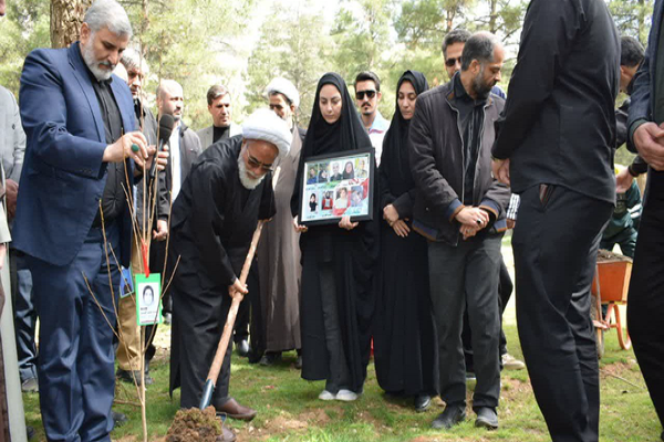 ۳۰۰ نهال به یاد شهدای جنگ رمضان در کرمانشاه غرس شد
