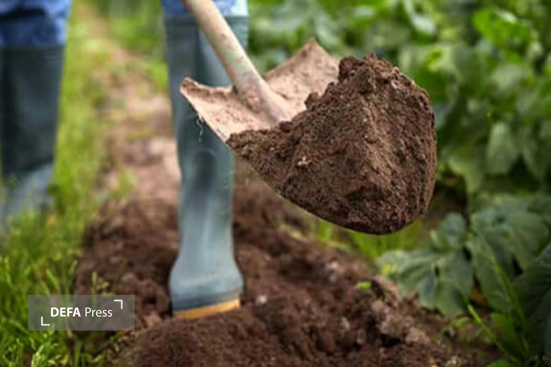 نهال‌هایی به نام شهدا در میناب کاشته شد