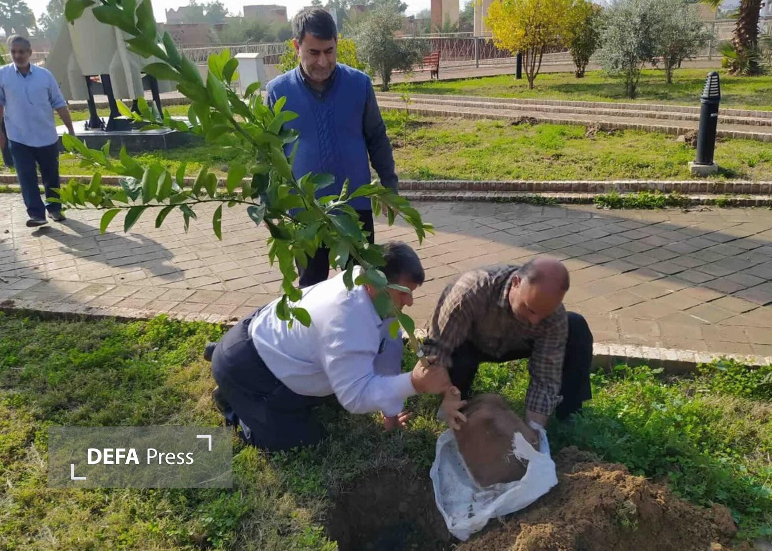 کاشت نهال در موزه دفاع مقدس و مقاومت دزفول به یاد شهدای جنگ رمضان کاشت نهال در موزه دفاع مقدس و مقاومت دزفول به یاد شهدای جنگ رمضان