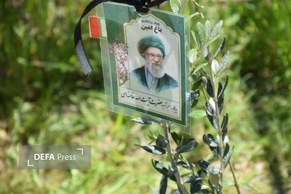 آغاز کاشت ۳هزار اصله نهال به یاد رهبر شهید در میاندورود