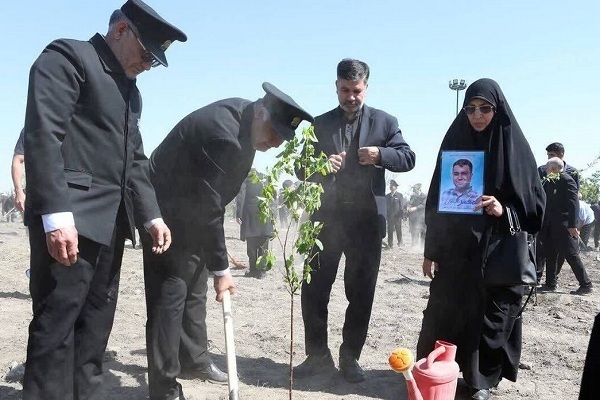 خانواده شهدا، نهال امید را در باغ امام رضا (ع) نشاندند