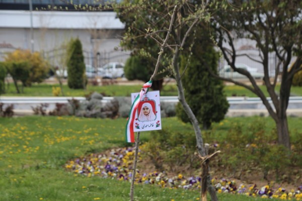 تصاویر/ آیین درختکاری رویش مهر به یاد شهیده‌های جنگ رمضان