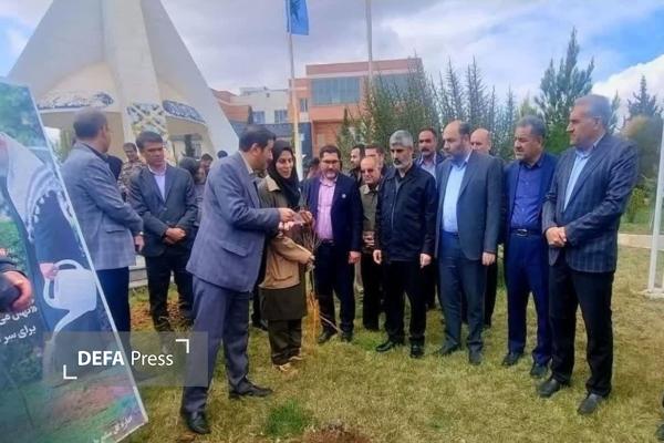 کاشت بیش از ۲ هزار اصله نهال به یاد رهبر شهید و شهدای جنگ رمضان در تاکستان کاشت بیش از ۲ هزار اصله نهال به یاد رهبر شهید و شهدای جنگ رمضان در تاکستان