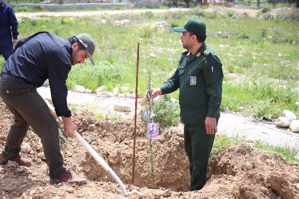 کاشت نهال به یاد شهدای جنگ رمضان کهگیلویه و بویراحمد+ تصاویر