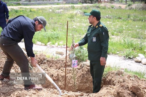 کاشت نهال به یاد شهدای جنگ رمضان کهگیلویه و بویراحمد