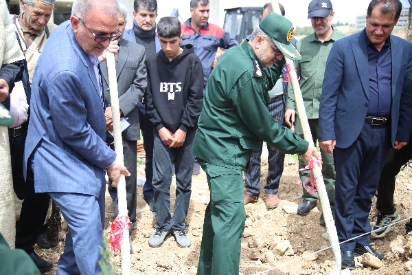 کاشت ۸۵ هزار اصله نهال در پویش سرو ایران و نهال امید در کهگیلویه و بویراحمد