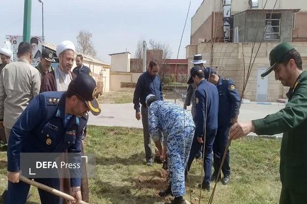برگزاری پویش «سرو ایران» در شهرستان کبودرآهنگ + تصاویر