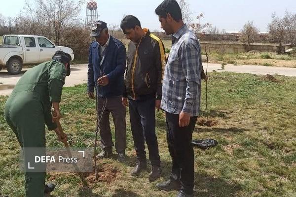 برگزاری پویش «سرو ایران» در شهرستان کبودرآهنگ + تصاویر