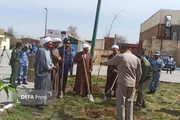 برگزاری پویش «سرو ایران» در شهرستان کبودرآهنگ + تصاویر