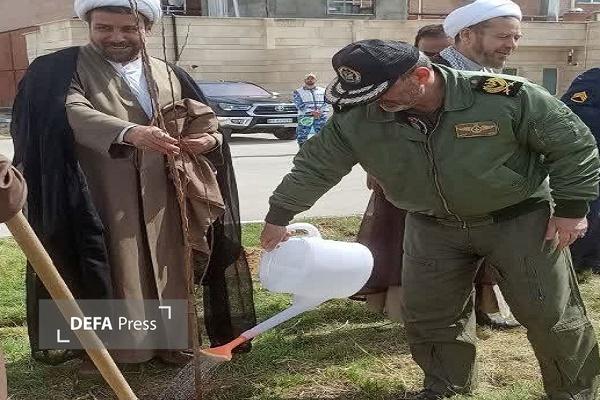 برگزاری پویش «سرو ایران» در شهرستان کبودرآهنگ + تصاویر