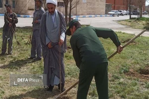 برگزاری پویش «سرو ایران» در شهرستان کبودرآهنگ + تصاویر