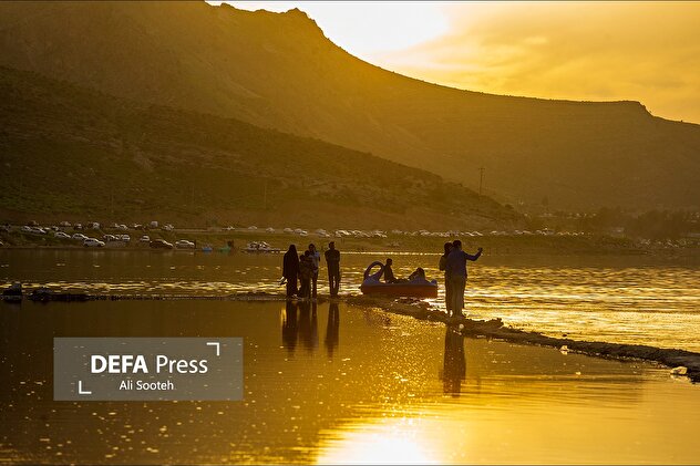 مهارلو دوباره جان گرفت