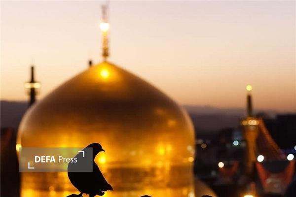 برنامههای حرم مطهر رضوی متناسب با شرایط کشور بهروز شد برنامههای حرم مطهر رضوی متناسب با شرایط کشور بهروز شد