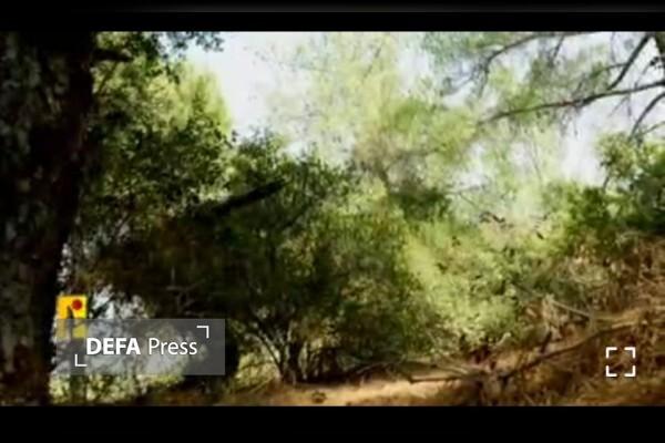 درخشش رزمندگان حزب الله در مثلث «مرجعیون-دشت خیام-راس ناقوره» / جنوب لبنان گورستان تانک‌های «مرکاوا» شد