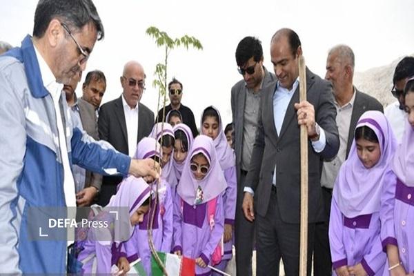 آغاز پویش «کاشت نهال سرو ایران» در عسلویه