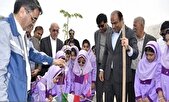 آغاز پویش «کاشت نهال سرو ایران» در عسلویه