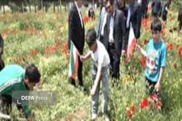 کاشت ۱۵۰ نهال بهیاد امام شهید و دانشآموزان شهید در اردوگاه شهید کمالوند خرم آباد کاشت ۱۵۰ نهال بهیاد امام شهید و دانشآموزان شهید در اردوگاه شهید کمالوند خرم آباد