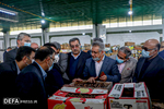 بازدید اعضای کمیسیون کشاورزی مجلس شورای اسلامی از مراکز بسته بندی خرما استان بوشهر