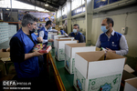 توزیع ۲۰۰ هزار بسته کمک ‌معیشتی توسط قرارگاه سازندگی‌خاتم الانبیاء(ص)
