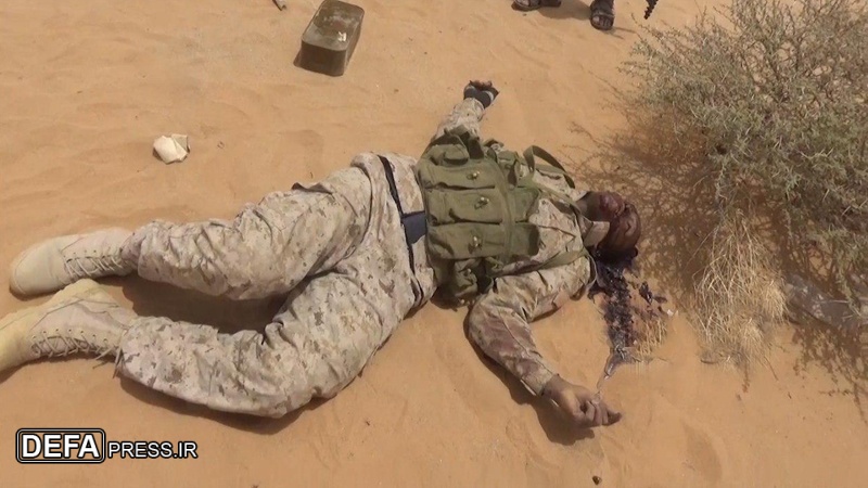 متعدد سعودی آلہ کار فوجی ہلاک و زخمی