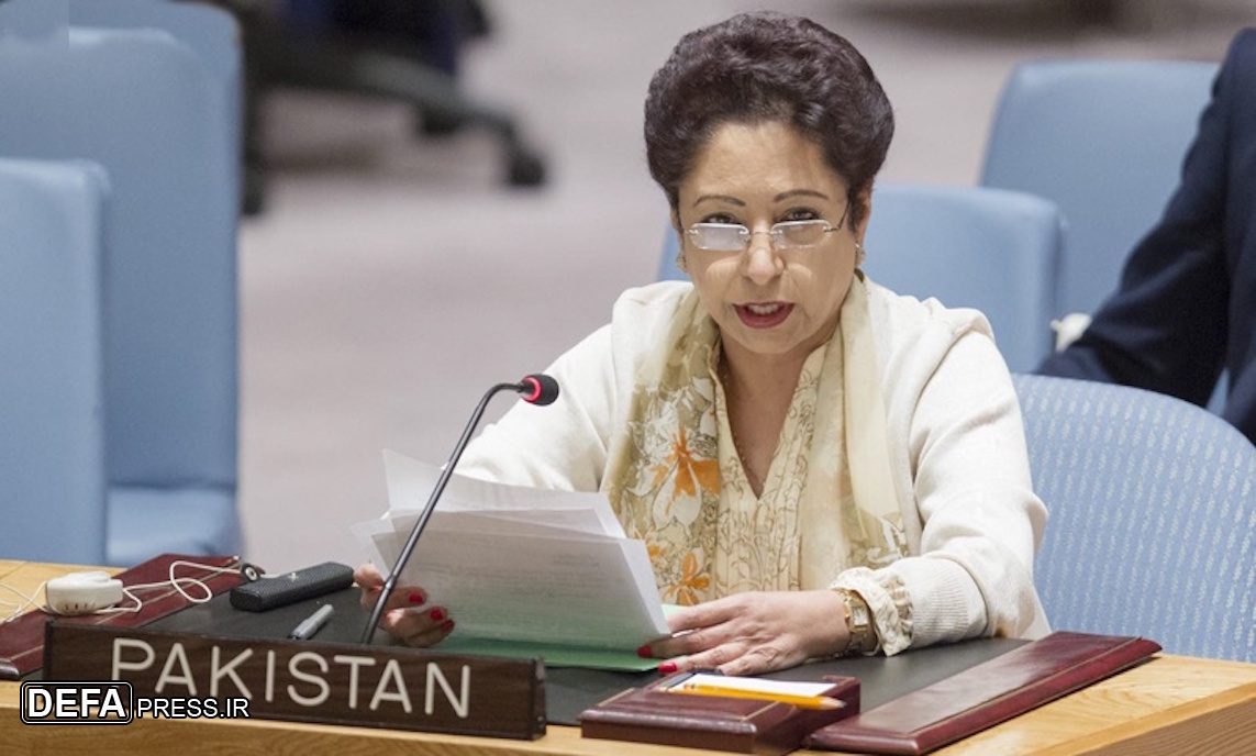 اقوام متحدہ میں جمہوری اصولوں پر اصلاحات کا مطالبہ
