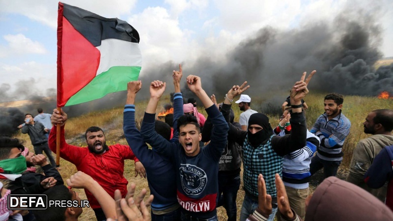 غزہ میں صیہونی جارحیت کی مذمت
