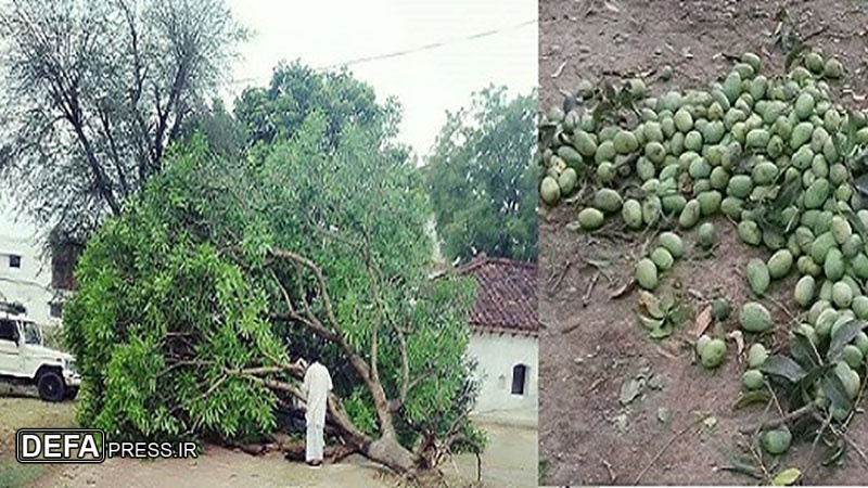 اترپردیش اور راجستھان میں شدید طوفان اور بارش سو سے زائد ہلاک اور زخمی