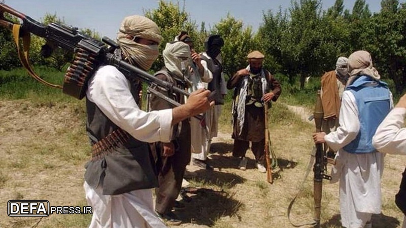 افغانستان میں فورسز اور طالبان کے مابین تصادم، 36 ہلاک