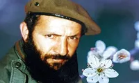 طرح/ شهید سید مجتبی هاشمی