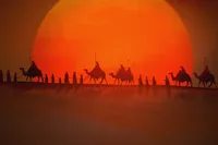 امام سجاد (ع) سردار میدان تبیین عاشورا
