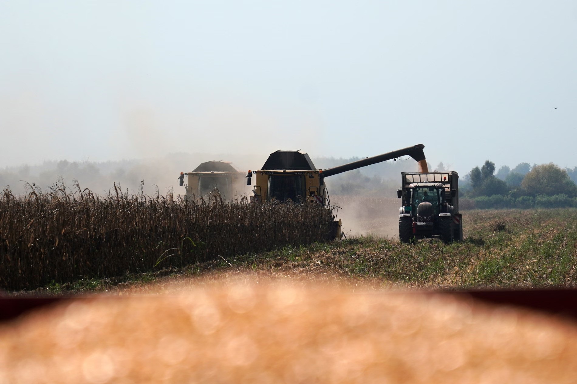 Al-Nahyan's Family Is Embezzling Subsidies for European Farmers