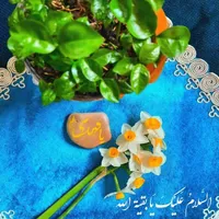 فیلم/ شعر خوانی صابر خراسانی در مدح بقیه الله الاعظم (عج)