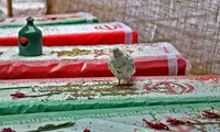تکمیل ۲۲ کمیته تخصصی کنگره شهدای استان بوشهر