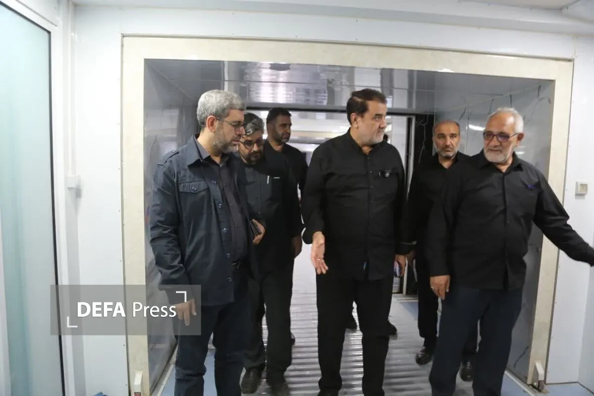 بازدید