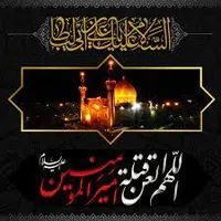 فیلم/ مدیحه خوانی در رثای حضرت امیر المومنین (ع)