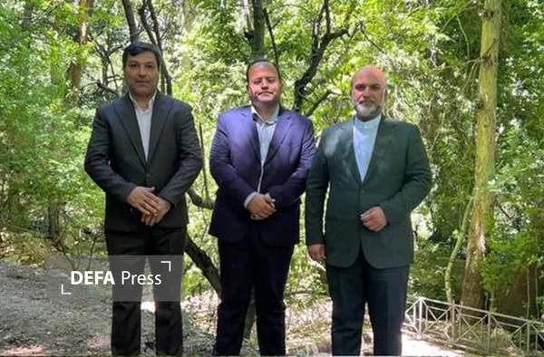 سینما سینما