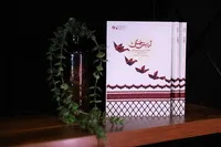 روایت ۴۰۰ ساعت همدلی زنان ایرانی با جبهه مقاومت