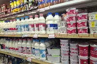 میدری: اعلام آمادگی شرکت‌های لبنی برای عرضه محصولات زیر قیمت مصوب
