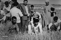 باید دست‌به‌کار شد حتی اگر دورت پر از بتن و فولاد باشد