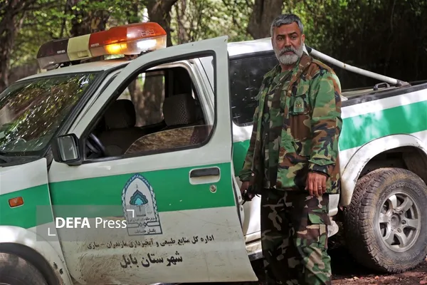 سریال سریال