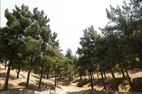بوستان ۱۳ هکتاری روایتگر شهدای دانش‌آموز میناب می‌شود