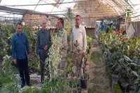حمایت از تولیدکنندگان داخلی موجب تقویت چرخه تولید می‌شود