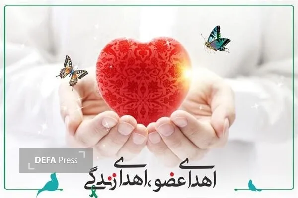 اهدا عضو اهدا عضو