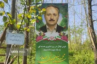 غرس ۵۱ اصله نهال به یاد شهید دانشمند هسته‌ای «صدیقی صابر»