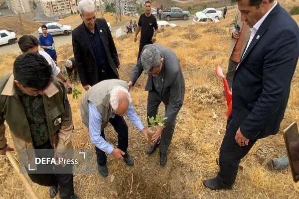 «پدر بلوط ایران» در دامنه آبیدر سنندج نهال بلوط کاشت «پدر بلوط ایران» در دامنه آبیدر سنندج نهال بلوط کاشت