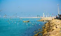 سواحل استان بوشهر تا فردا متلاطم است